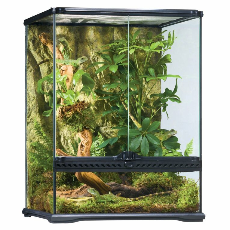 Günstig Exo Terra Glasterrarium 45x45x60 cm i mPreisvergleich in unserem Onlineshop auf Hundeliebe-shop.de kaufen.