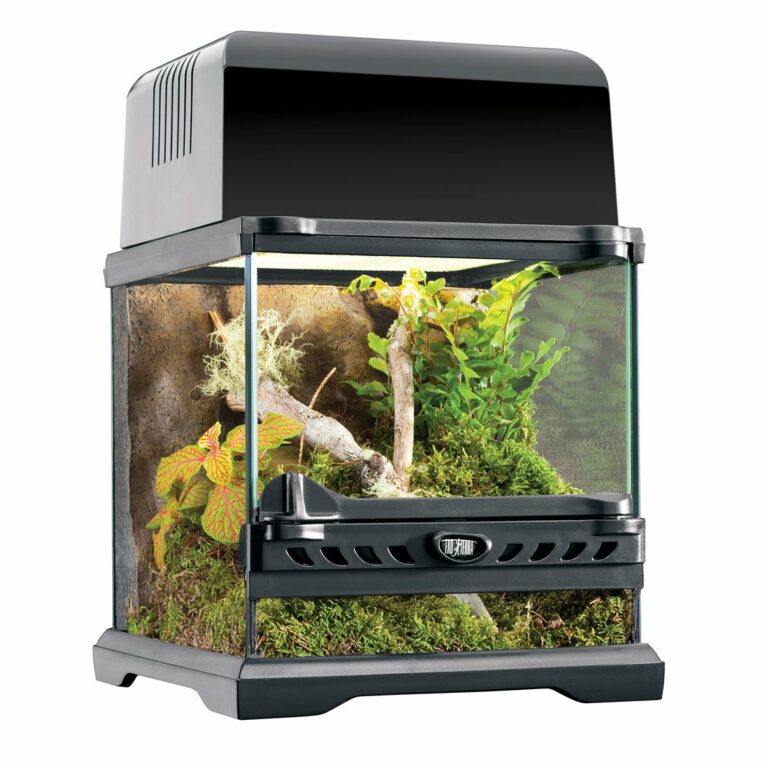 Günstig Exo Terra Natural Nano-Terrarium „Wide“ 20x20x20cm i mPreisvergleich in unserem Onlineshop auf Hundeliebe-shop.de kaufen.