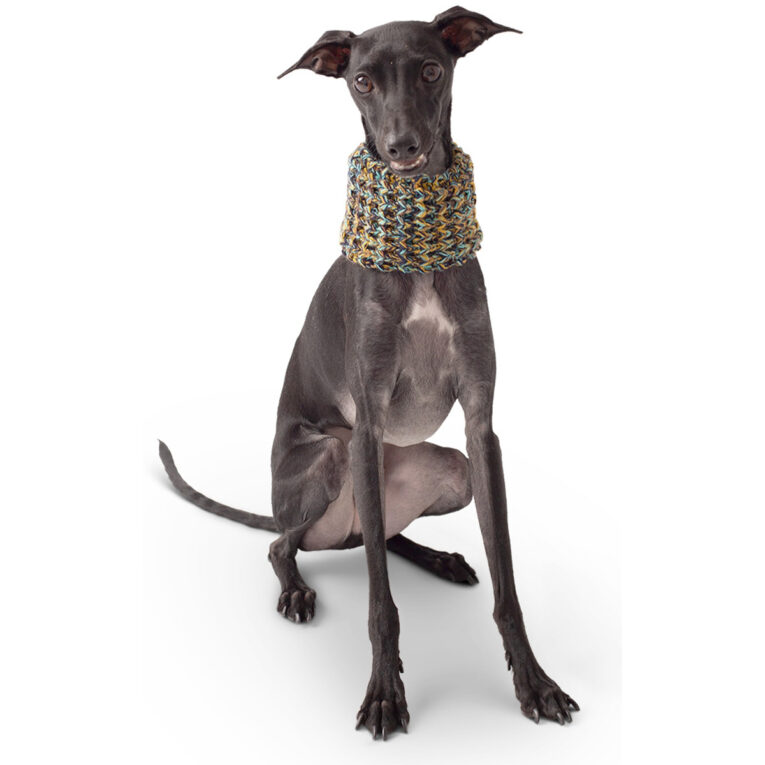 Günstig GF Pet Scout Schlauchschal navy S i mPreisvergleich in unserem Onlineshop auf Hundeliebe-shop.de kaufen.