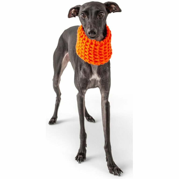 Günstig GF Pet Scout Schlauchschal orange L i mPreisvergleich in unserem Onlineshop auf Hundeliebe-shop.de kaufen.