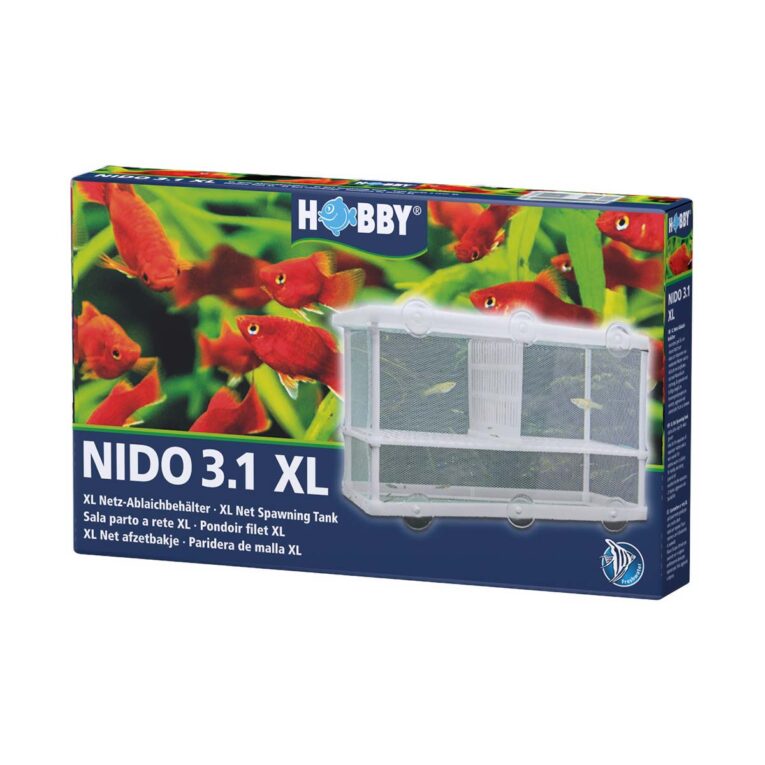 Günstig Hobby Ablaichbehälter Nido 3.1 25 x 15 x 14