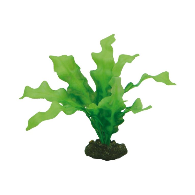 Günstig Hobby Aquariumdekoration Echinodrus 20 cm i mPreisvergleich in unserem Onlineshop auf Hundeliebe-shop.de kaufen.