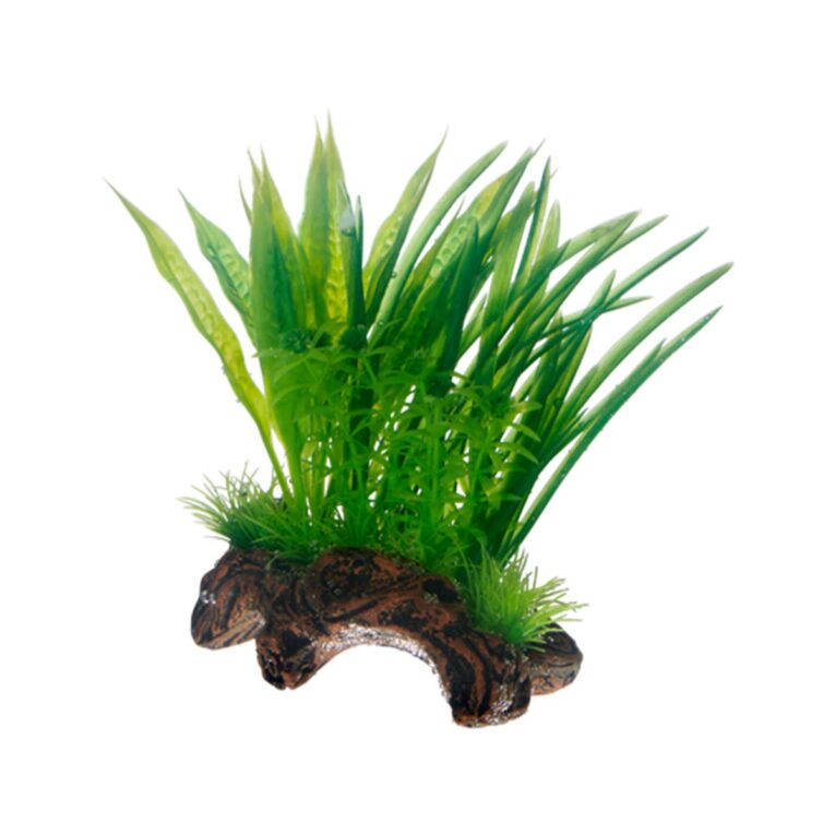 Günstig Hobby Aquariumdekoration Flora Root 1