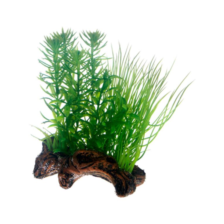 Günstig Hobby Aquariumdekoration Flora Root 2 S: 17 cm i mPreisvergleich in unserem Onlineshop auf Hundeliebe-shop.de kaufen.