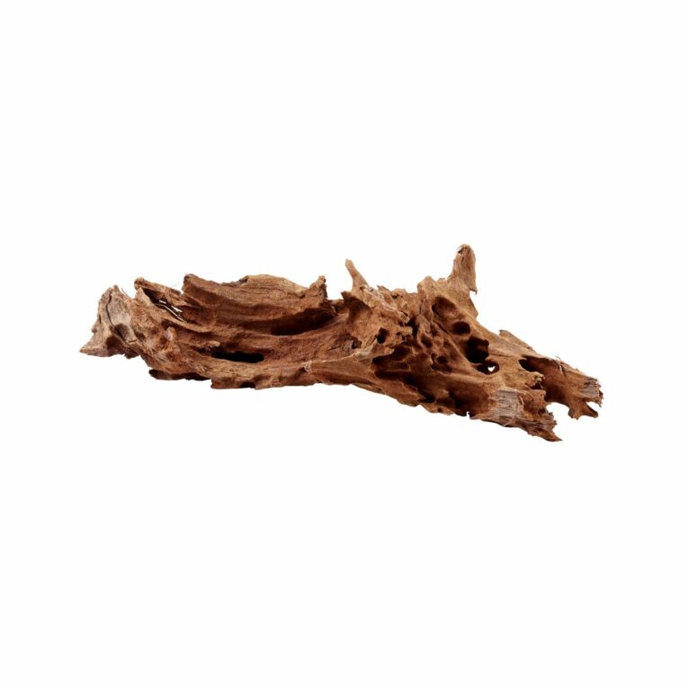 Günstig Hobby Aquariumdekoration Mangrovenholz M: 25 – 35 cm i mPreisvergleich in unserem Onlineshop auf Hundeliebe-shop.de kaufen.