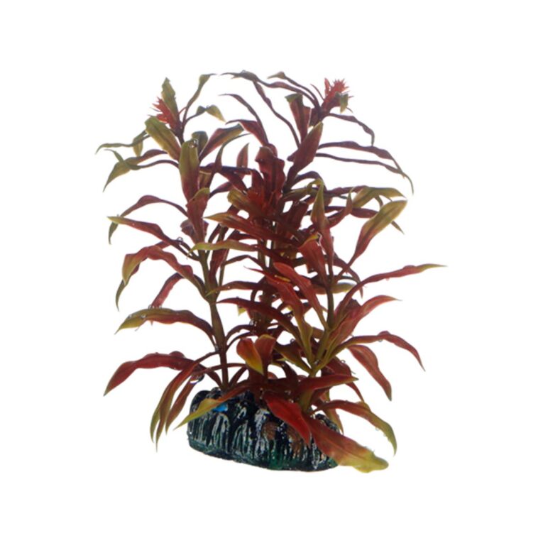 Günstig Hobby Aquariumdekoration Nesaea 13 cm i mPreisvergleich in unserem Onlineshop auf Hundeliebe-shop.de kaufen.