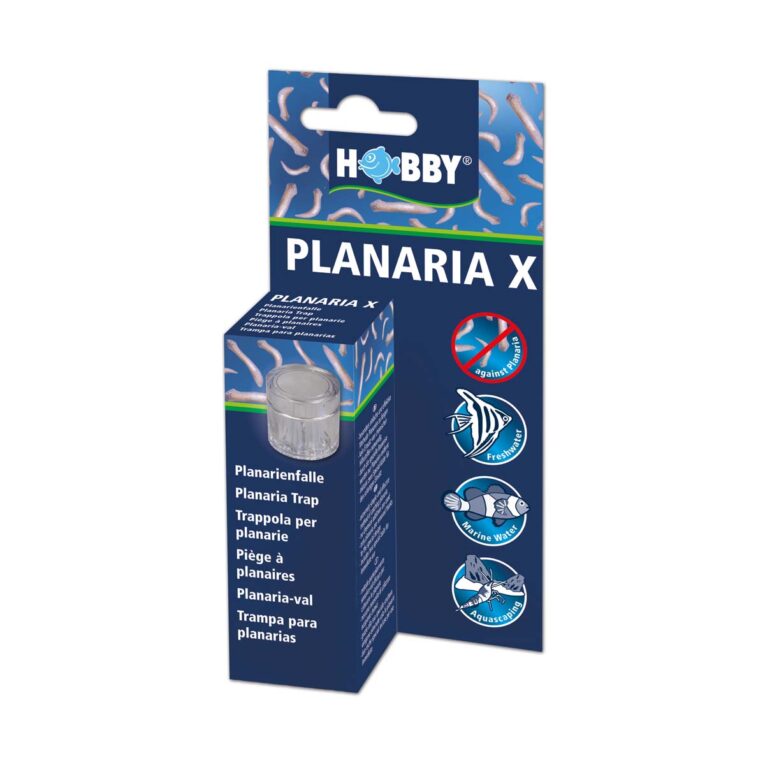 Günstig Hobby Planarienfalle Planaria X mit 2x Köder i mPreisvergleich in unserem Onlineshop auf Hundeliebe-shop.de kaufen.