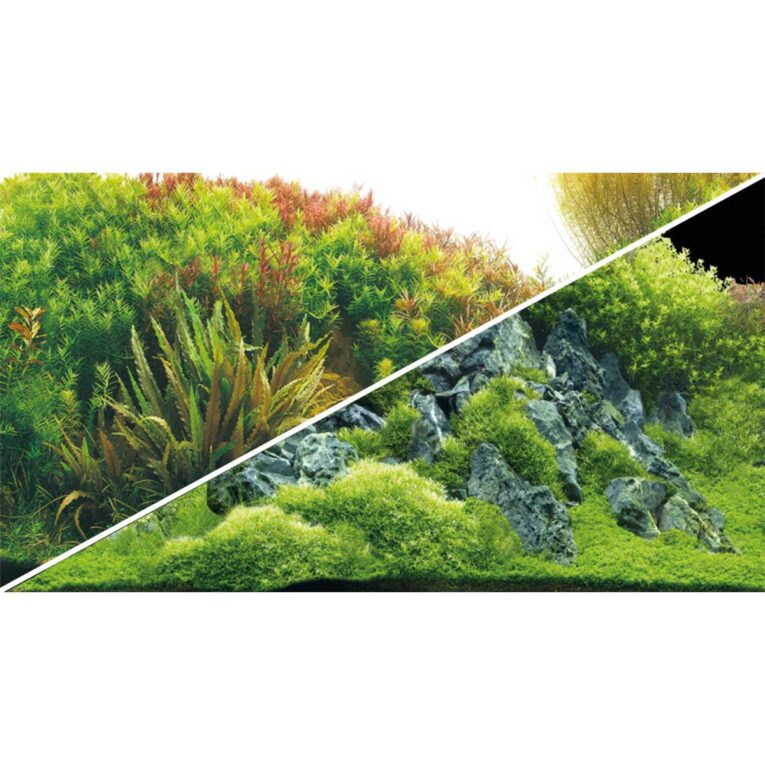 Günstig Hobby Aquarium Fotorückwand River / Rocks 100×50 cm i mPreisvergleich in unserem Onlineshop auf Hundeliebe-shop.de kaufen.