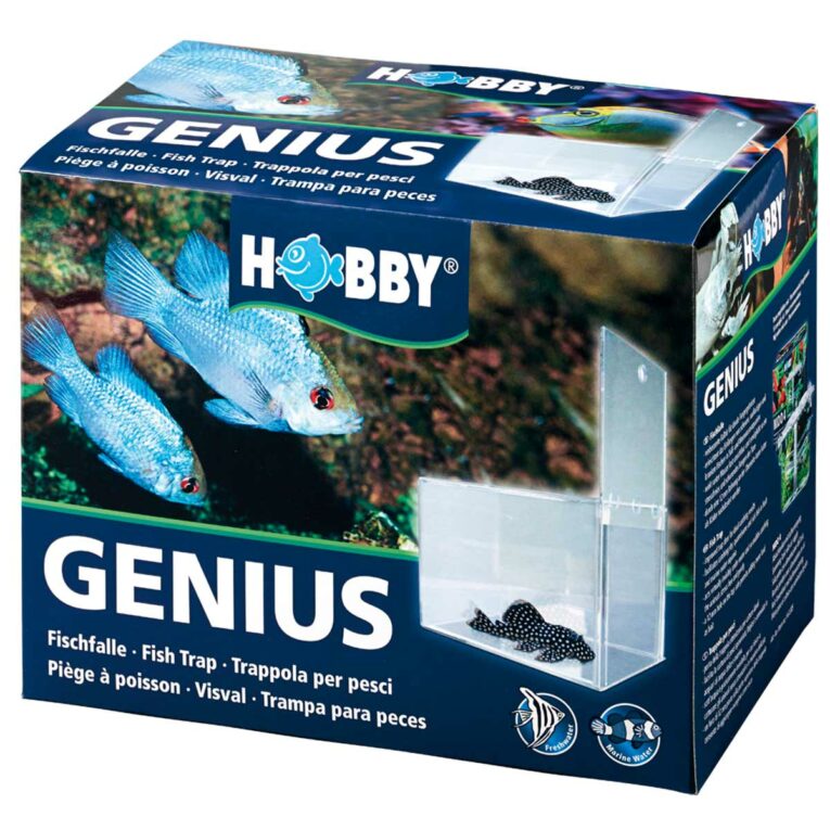 Günstig Hobby Genius Fischfalle i mPreisvergleich in unserem Onlineshop auf Hundeliebe-shop.de kaufen.