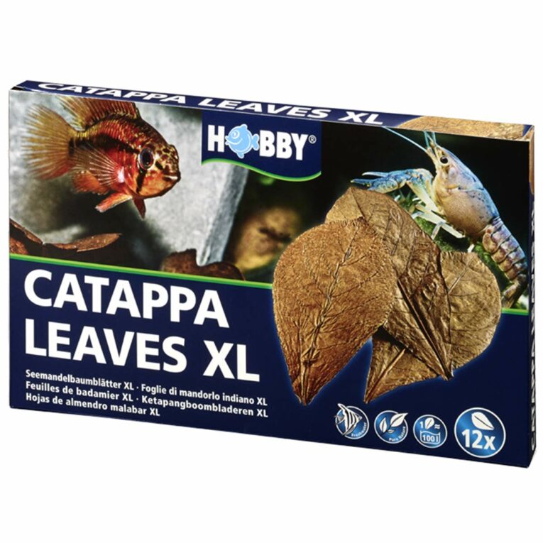 Günstig Hobby Catappa Leaves XL 12 Stück i mPreisvergleich in unserem Onlineshop auf Hundeliebe-shop.de kaufen.