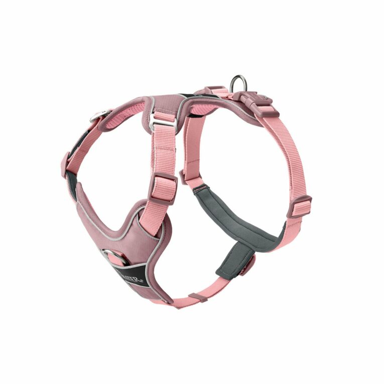 Günstig Hunter Geschirr Divo Up rosa 79-107/L-XL i mPreisvergleich in unserem Onlineshop auf Hundeliebe-shop.de kaufen.