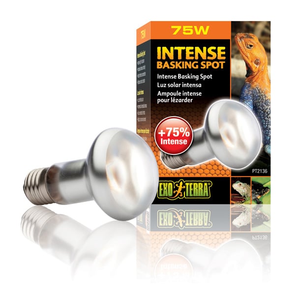 Günstig Exo Terra Intense Basking Spot 75 i mPreisvergleich in unserem Onlineshop auf Hundeliebe-shop.de kaufen.