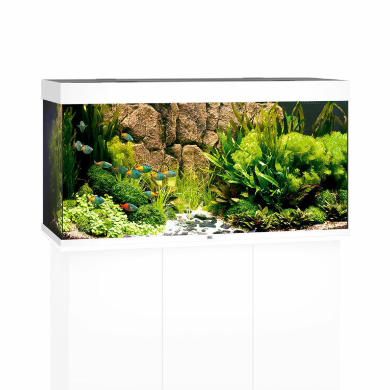 Günstig Juwel Rio 350 LED Komplett Aquarium ohne Schrank weiß i mPreisvergleich in unserem Onlineshop auf Hundeliebe-shop.de kaufen.