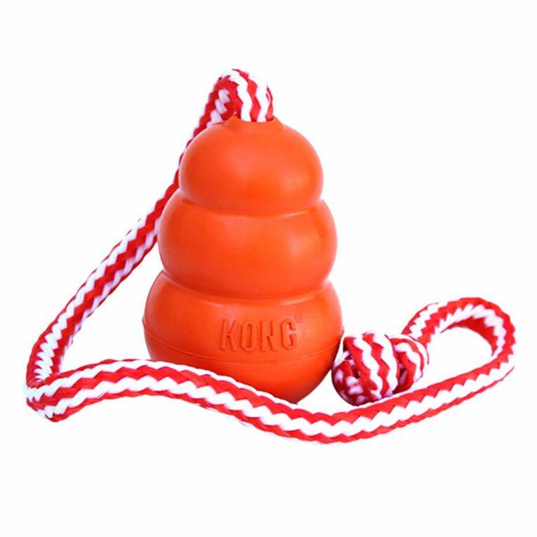 Günstig KONG Aqua i mPreisvergleich in unserem Onlineshop auf Hundeliebe-shop.de kaufen.