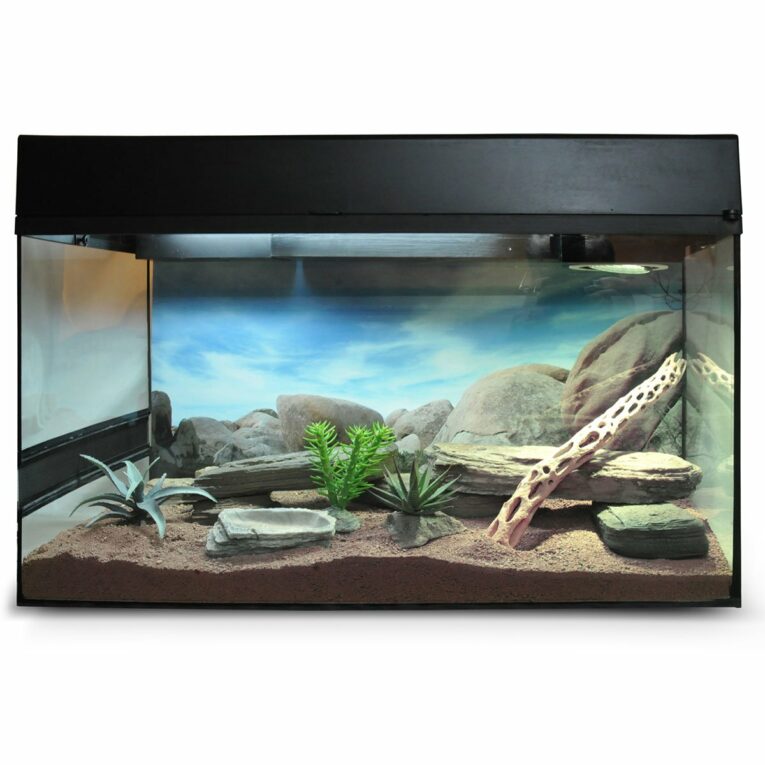 Günstig Lucky Reptile Terrarium Starter Kit 50 cm „Wüstengecko“ schwarz i mPreisvergleich in unserem Onlineshop auf Hundeliebe-shop.de kaufen.