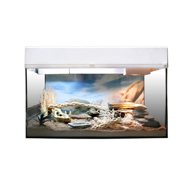 Günstig Lucky Reptile Terrarium Starter Kit 50 cm „Wüstengecko“ weiß i mPreisvergleich in unserem Onlineshop auf Hundeliebe-shop.de kaufen.