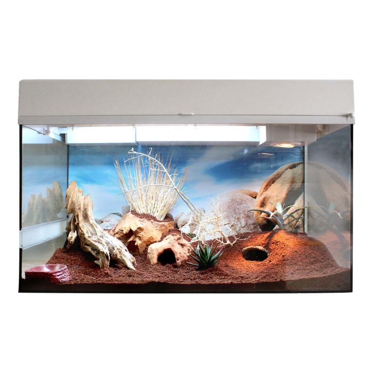 Günstig Lucky Reptile Terrarium Starter Kit 80 cm „Leopardgecko“ weiß i mPreisvergleich in unserem Onlineshop auf Hundeliebe-shop.de kaufen.