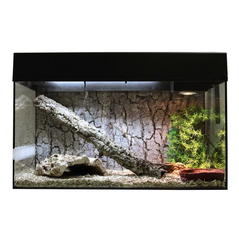 Günstig Lucky Reptile Terrarium Starter Kit 80 cm „Schlange“ schwarz i mPreisvergleich in unserem Onlineshop auf Hundeliebe-shop.de kaufen.