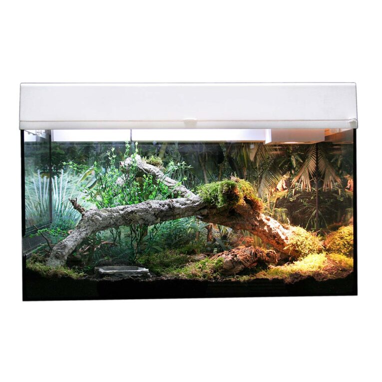 Günstig Lucky Reptile Terrarium Starter Kit 80 cm „Schlange“ weiß i mPreisvergleich in unserem Onlineshop auf Hundeliebe-shop.de kaufen.