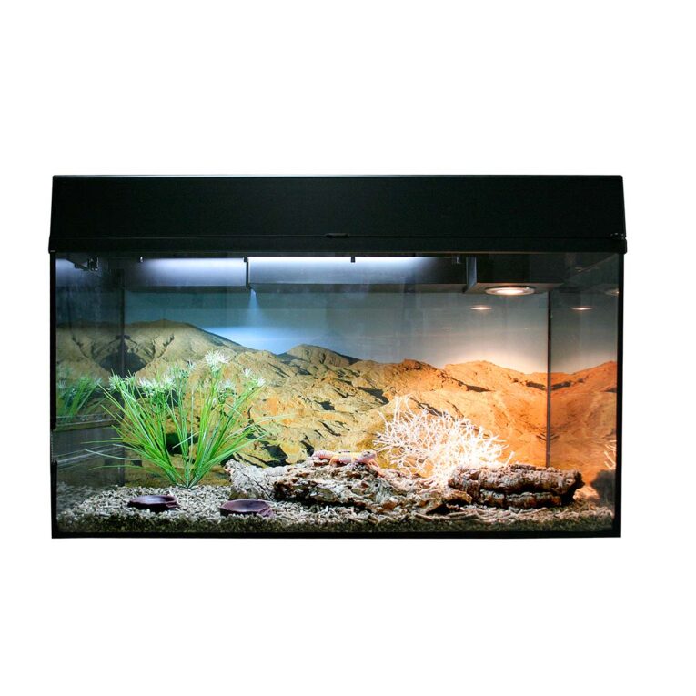 Günstig Lucky Reptile Terrarium Starter Kit 80 cm „Leopardgecko“ schwarz i mPreisvergleich in unserem Onlineshop auf Hundeliebe-shop.de kaufen.