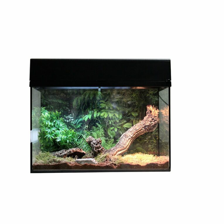 Günstig Lucky Reptile Terrarium Starter Kit 50 cm „Spinne + Skorpion“ weiß i mPreisvergleich in unserem Onlineshop auf Hundeliebe-shop.de kaufen.