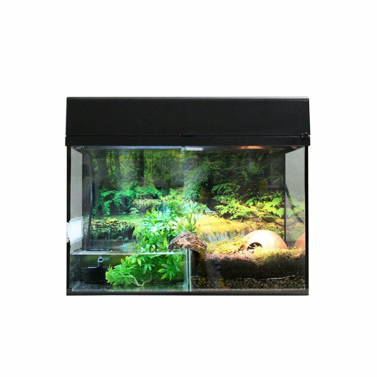 Günstig Lucky Reptile Terrarium Starter Kit 80 cm „Bombina/Pacman“ weiß i mPreisvergleich in unserem Onlineshop auf Hundeliebe-shop.de kaufen.