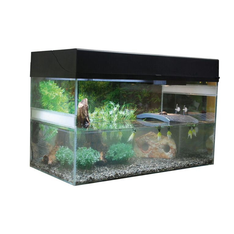 Günstig Lucky Reptile Terrarium Starter Kit 80 cm „Wasserschildkröte“ schwarz i mPreisvergleich in unserem Onlineshop auf Hundeliebe-shop.de kaufen.