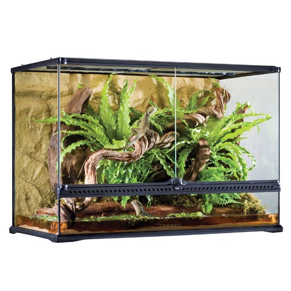 Günstig Exo Terra Natural Terrarium Large/Tall i mPreisvergleich in unserem Onlineshop auf Hundeliebe-shop.de kaufen.