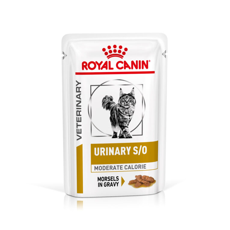 Günstig ROYAL CANIN® URINARY S/O MODERATE CALORIE Häppchen in Soße 48x85g i mPreisvergleich in unserem Onlineshop auf Hundeliebe-shop.de kaufen.