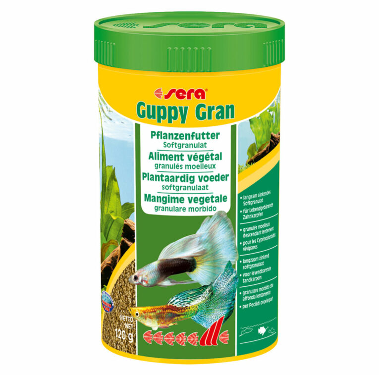 Günstig Sera guppy gran 250ml i mPreisvergleich in unserem Onlineshop auf Hundeliebe-shop.de kaufen.