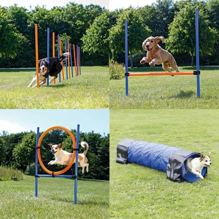 Günstig Trixie Dog Activity Agility Set vierteilig i mPreisvergleich in unserem Onlineshop auf Hundeliebe-shop.de kaufen.