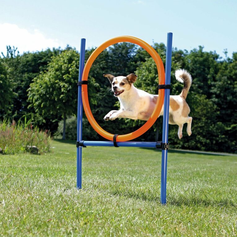 Günstig Trixie Dog Activity Agility Ring i mPreisvergleich in unserem Onlineshop auf Hundeliebe-shop.de kaufen.