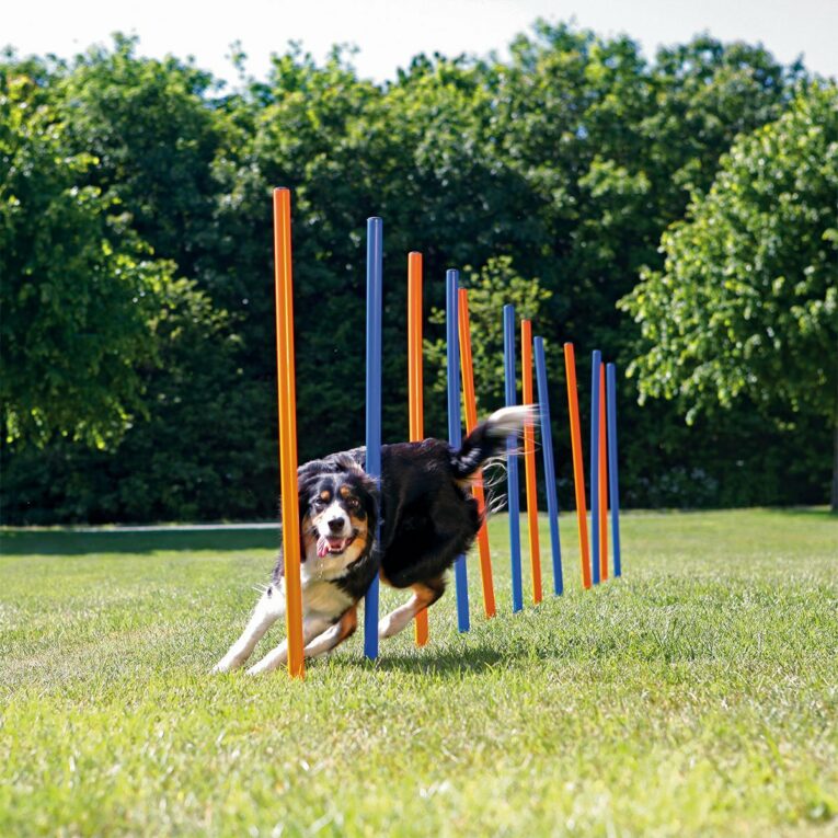 Günstig Trixie Dog Activity Agility Slalom Stangen i mPreisvergleich in unserem Onlineshop auf Hundeliebe-shop.de kaufen.