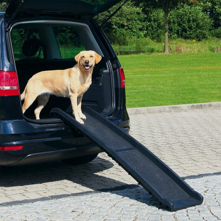Günstig Trixie Petwalk Klapprampe i mPreisvergleich in unserem Onlineshop auf Hundeliebe-shop.de kaufen.