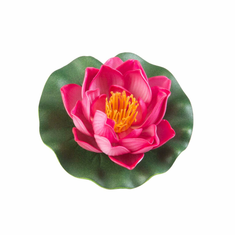 Günstig Velda Lotus Foam Fuchsia 10cm i mPreisvergleich in unserem Onlineshop auf Hundeliebe-shop.de kaufen.