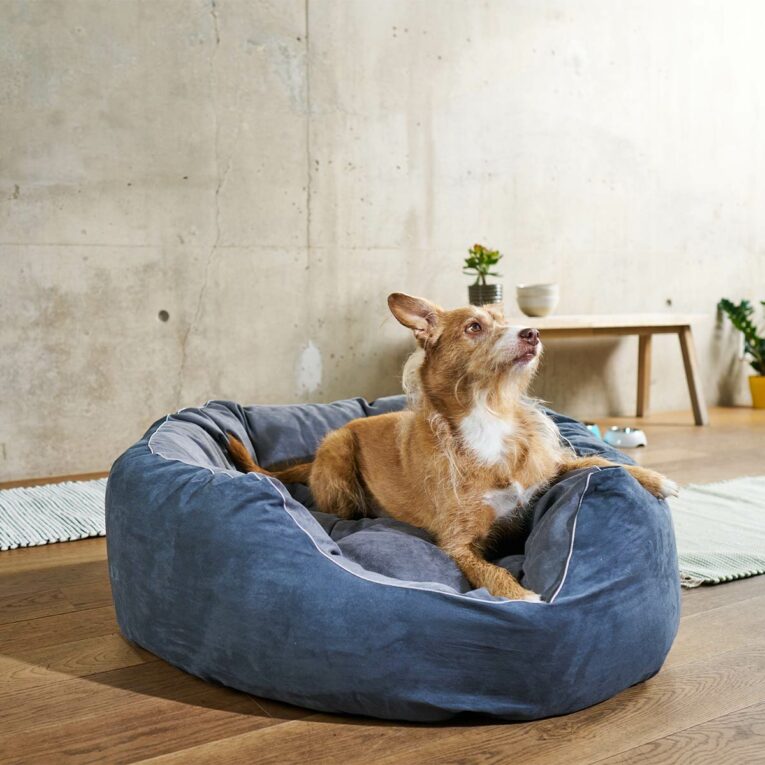 Günstig ZooRoyal Hundebett Balou Ø 100 cm i mPreisvergleich in unserem Onlineshop auf Hundeliebe-shop.de kaufen.