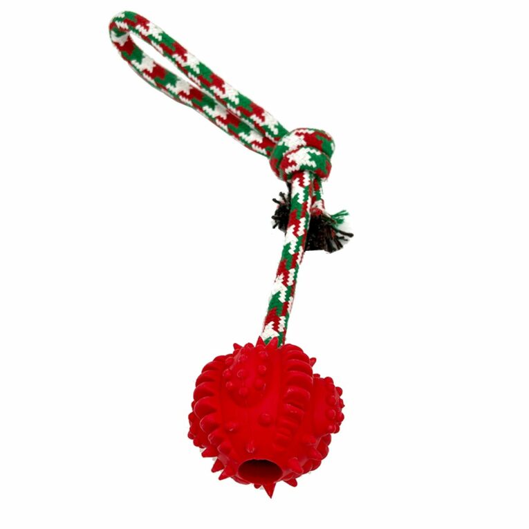 Günstig ZooRoyal Wurfball am Seil i mPreisvergleich in unserem Onlineshop auf Hundeliebe-shop.de kaufen.