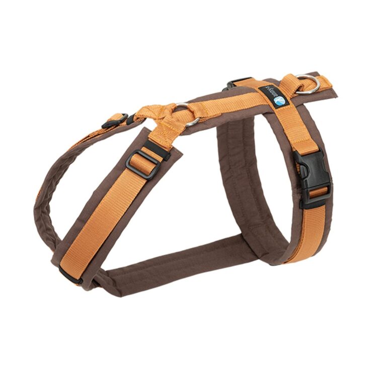 Günstig annyx Brustgeschirr Fun braun/ bernstein XL i mPreisvergleich in unserem Onlineshop auf Hundeliebe-shop.de kaufen.