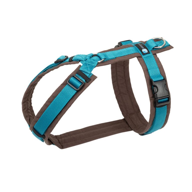 Günstig annyx Brustgeschirr Fun braun/ petrol XL i mPreisvergleich in unserem Onlineshop auf Hundeliebe-shop.de kaufen.