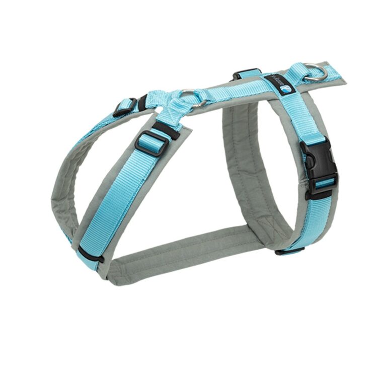 Günstig annyx Brustgeschirr Fun grau/ eisblau XL i mPreisvergleich in unserem Onlineshop auf Hundeliebe-shop.de kaufen.