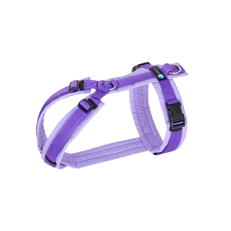 Günstig annyx Brustgeschirr Fun lavendel XL i mPreisvergleich in unserem Onlineshop auf Hundeliebe-shop.de kaufen.