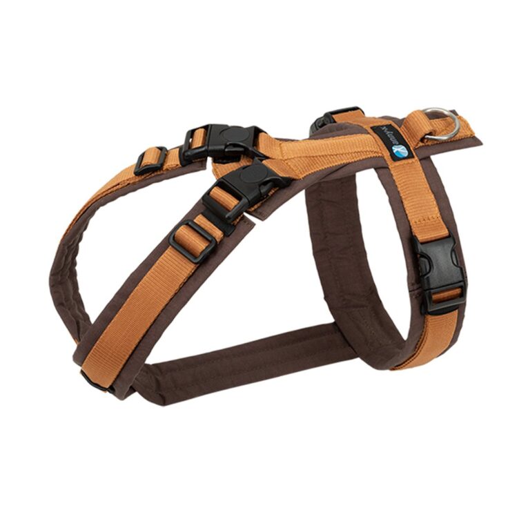 Günstig annyx Brustgeschirr Open Fun braun/ bernstein M i mPreisvergleich in unserem Onlineshop auf Hundeliebe-shop.de kaufen.