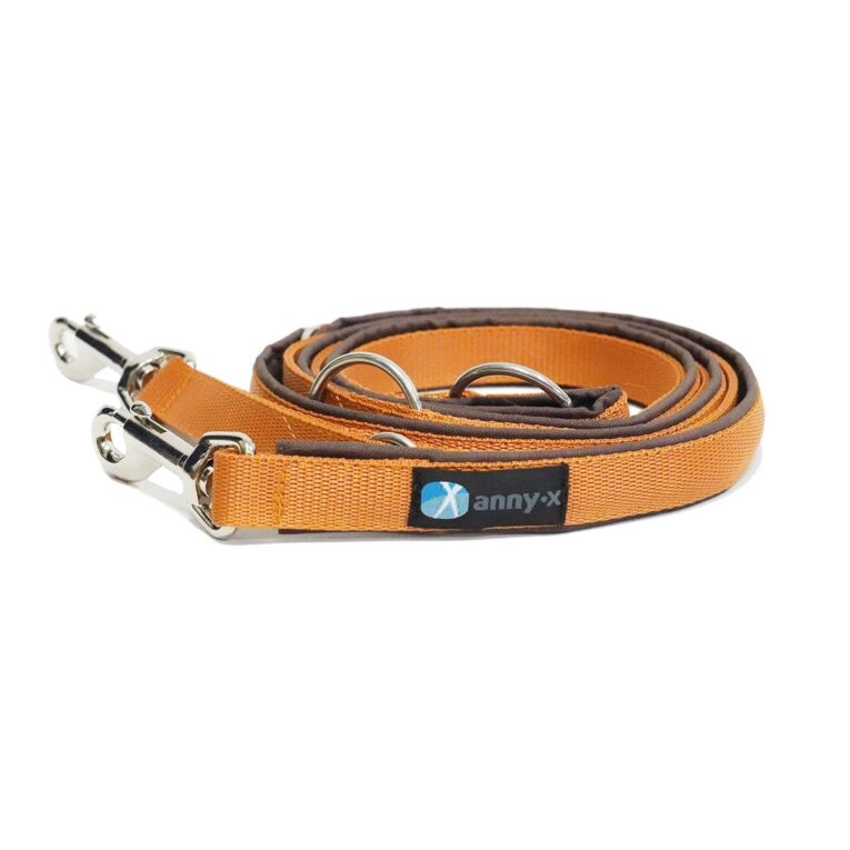 Günstig annyx Führleine Classic Bolt Fun braun/bernstein i mPreisvergleich in unserem Onlineshop auf Hundeliebe-shop.de kaufen.