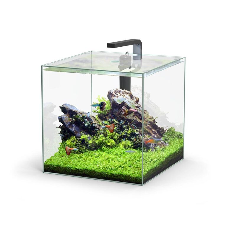 Günstig Aquatlantis Aquarium Set Kubus LED 54l i mPreisvergleich in unserem Onlineshop auf Hundeliebe-shop.de kaufen.