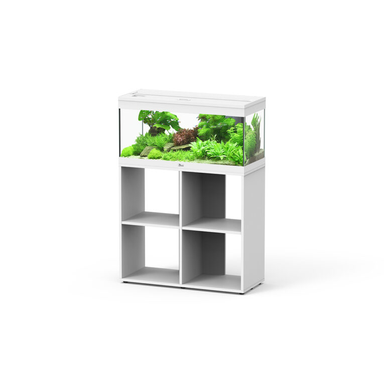 Günstig Aquatlantis Aquariumkombination Prestige 80 ‚Stand‘ weiß i mPreisvergleich in unserem Onlineshop auf Hundeliebe-shop.de kaufen.