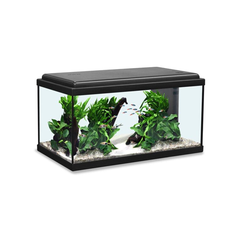 Günstig Aquatlantis Aquarium Advance LED 60 schwarz i mPreisvergleich in unserem Onlineshop auf Hundeliebe-shop.de kaufen.