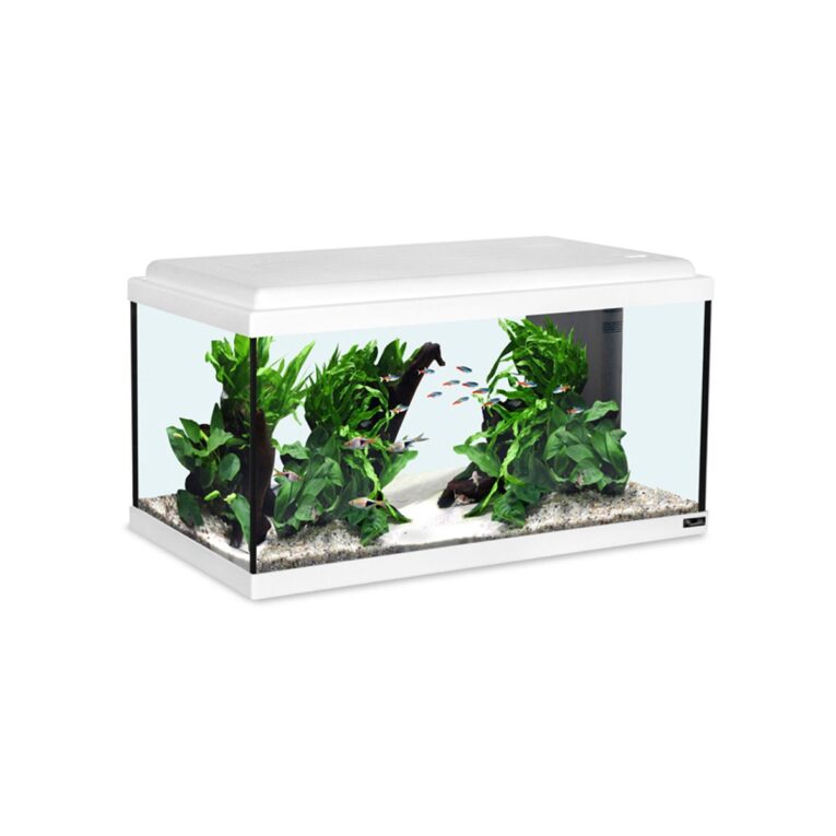 Günstig Aquatlantis Aquarium Advance LED 60 weiß i mPreisvergleich in unserem Onlineshop auf Hundeliebe-shop.de kaufen.