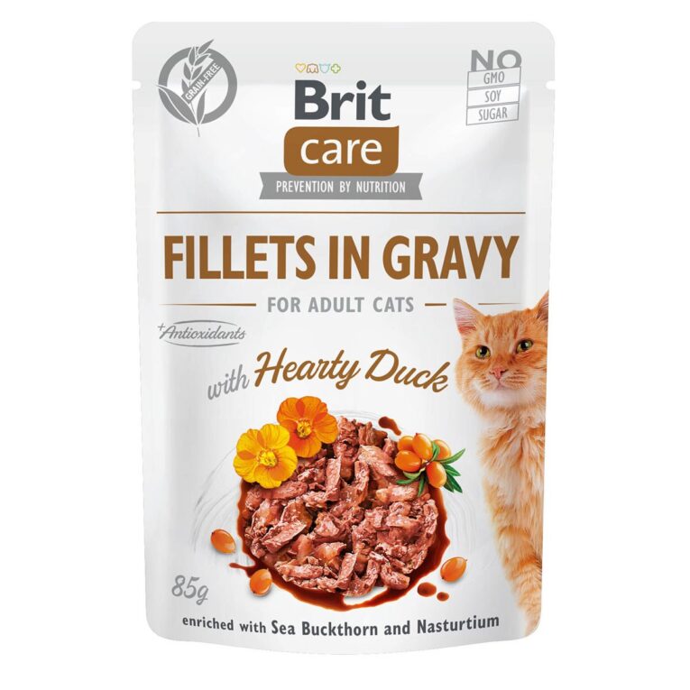 Günstig Brit Care Cat Fillets in Gravy with Hearty Duck 6x85g i mPreisvergleich in unserem Onlineshop auf Hundeliebe-shop.de kaufen.