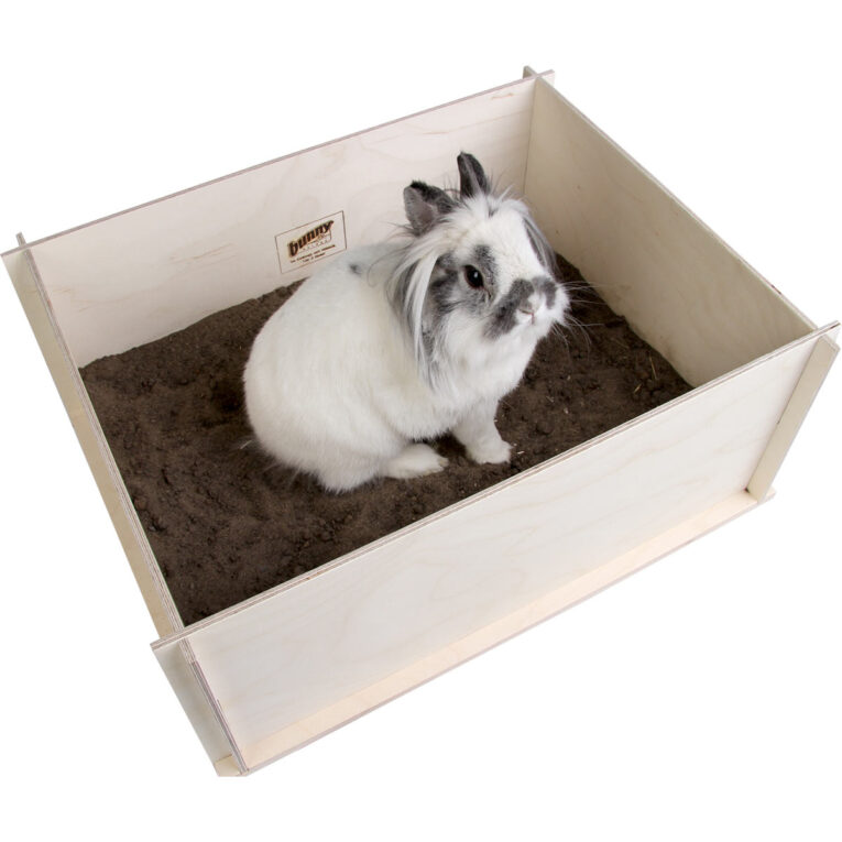 Günstig bunny Interactive Buddelkiste i mPreisvergleich in unserem Onlineshop auf Hundeliebe-shop.de kaufen.