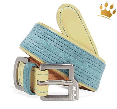 Günstig Hundehalsband Canini® Hunky Blau in unserem Hundeshop im Preisvergleich kaufen.
